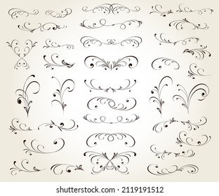 Floral vintage vector design elements.Calligraphic twists of the composition.