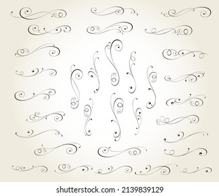 Floral vintage vector design elements.Calligraphic twists of the composition.