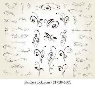 Floral vintage vector design elements.Calligraphic twists of the composition.Tattoo .