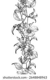 Floral vintage vector seamless pattern vertical border, Clematis flowers, black white. Hand drawn illustration for design wedding, packaging, textile, wrapping paper, wallpaper, Fashion apparel