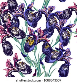 Floral  wallpaper pattern with purple iris flowers