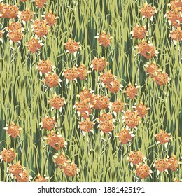 Floral Wallpaper with Realistic Flowers. Seamless Pattern with Wild Clover on a Meadow for Cloth Textile Skirt. Vector Seamless Grass Texture. Retro Rapport. Retro Pattern.