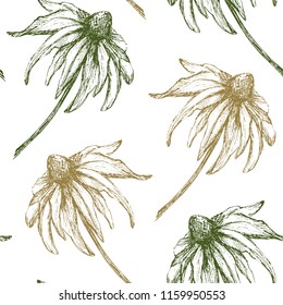 Floral wallpaper. Seamless pattern with hand drawn flowers on white background.