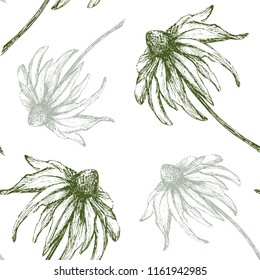 Floral wallpaper. Seamless pattern with hand drawn flowers on white background.