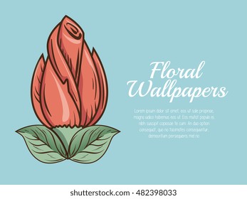 floral wallpapers design isolated