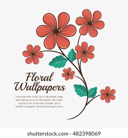 floral wallpapers design isolated