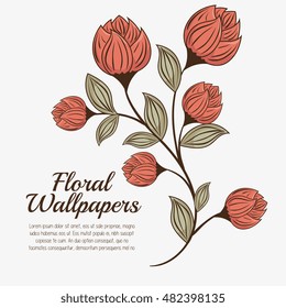 floral wallpapers design isolated