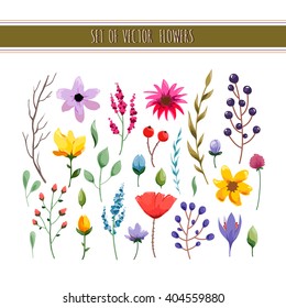 Floral watercolor collection with leaves and flowers. Wedding, romantic collection.Spring or summer design for invitation, wedding or greeting cards. Vector illustration