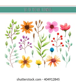 Floral watercolor collection with leaves and flowers. Wedding, romantic collection.Spring or summer design for invitation, wedding or greeting cards. Vector illustration