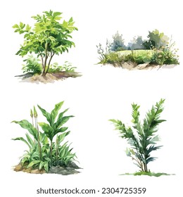 floral watercolor elements set vector 