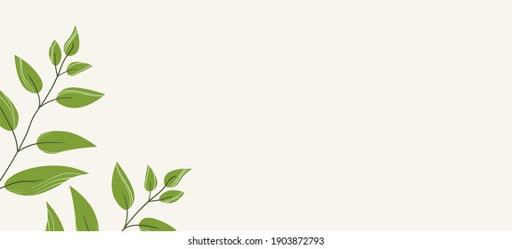 Floral web banner with drawn color exotic monstera leaves. Nature concept design. Modern floral compositions with summer branches. Vector illustration on the theme of ecology, natura, environment.