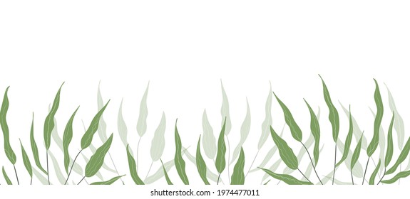 Floral web banner with drawn color exotic leaves. Nature concept design. Modern floral compositions with summer branches. Vector illustration on the theme of ecology, natura, environment.