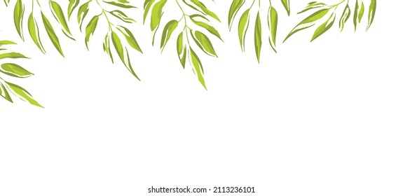 Floral web banner with drawn color exotic leaves. Nature concept design. Modern floral compositions with summer branches. Vector illustration on the theme of ecology, natura, environment.