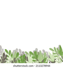 Floral web banner with drawn color exotic leaves. Nature concept design. Modern floral frame with summer branches. Vector illustration. Copy space.