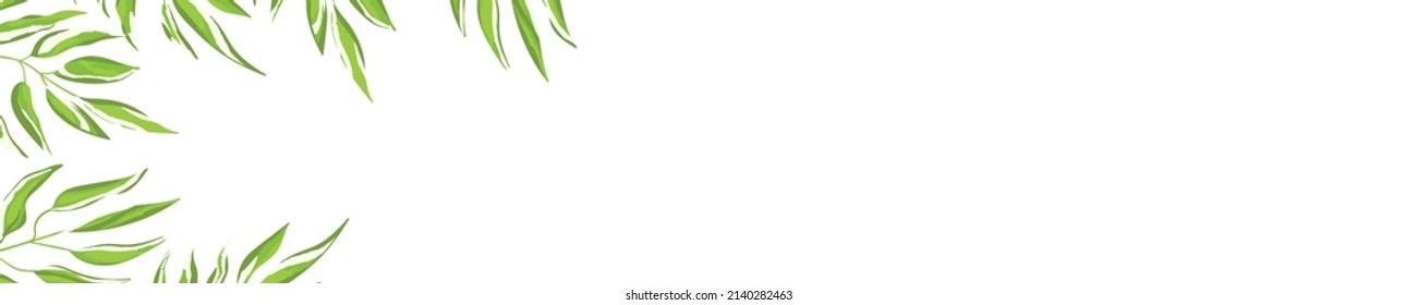 Floral web banner with drawn color exotic leaves. Nature concept design. Modern floral compositions with summer branches. Vector illustration on the theme of ecology, natura, environment.