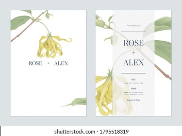 Floral wedding invitation card template design, cananga odorata flowers with leaves on white