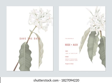 Floral wedding invitation card template design, Medicinal Kopsia flowers with leaves on white
