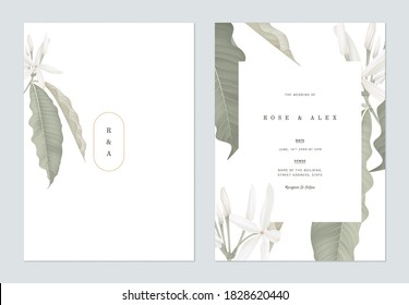 Floral Wedding Invitation Card Template Design, Medicinal Kopsia Flowers On White