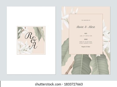 Floral wedding invitation card template design, Medicinal Kopsia flowers with leaves on white and brown