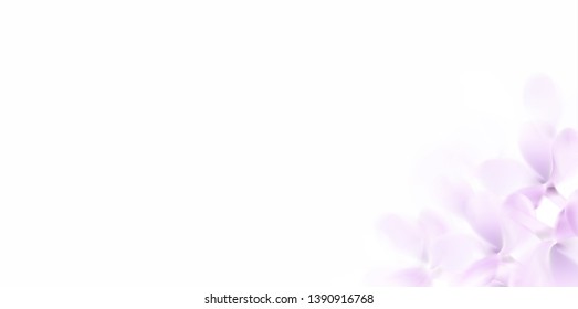 Floral white background with soft pink lilac flowers and petals