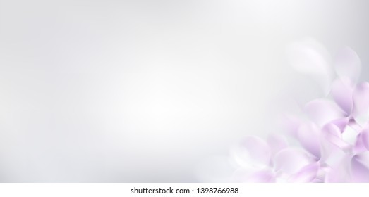 Floral white background with soft pink lilac flowers and petals