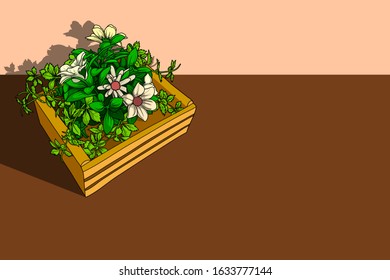 Floral in wooden bucket - drawing vector in cartoon illustration style. Right side is blank for copy space of advertising and commercial use. Separation main object with layers.