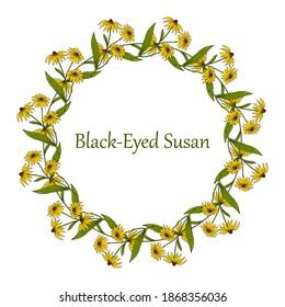 Floral wreath with Black-eyed Susan (Rudbeckia hirta), State Flower of Maryland. Hand drawn botanical vector illustration