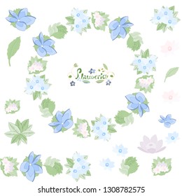 Floral wreath on isolated background. Flowers garland. Plumeria.
