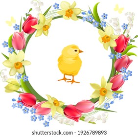 Floral wreath with pretty chicken, daffodils and red tulips. Greeting template for festive cards, posters, Easter announcements.