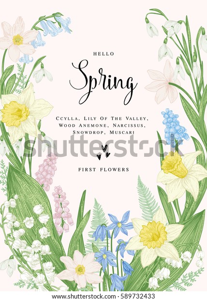 春の花で花輪 植物イラスト パステルの色 ベクター画像 のベクター画像素材 ロイヤリティフリー