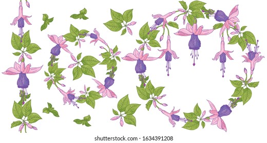 Floral wreaths and seamless brush. Round frames patterns with pink-purple fuchsias. Festive romantic set for seasonal design. Garland of purple flowers for cards, greetings, various designs.