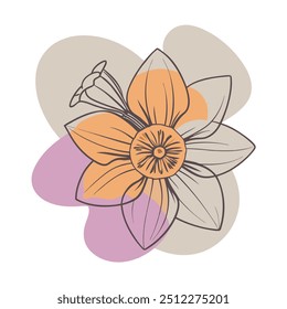 Florals and botanicals illustration vector design