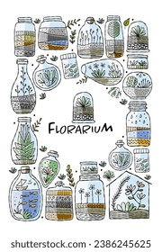 Florarium in bottle set with cactuses, succulents, leaves, branches, stones and seashells decoration on sand. Exotic small house plant, home miniature garden. Floral terrarium. Vertical card for your