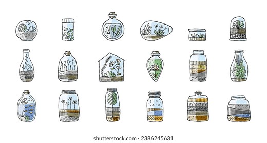 Florarium in bottle set with cactuses, succulents, leaves, branches, stones and seashells decoration on sand. Exotic small house plant, home miniature garden. Floral terrarium, Icons set for your