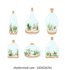 Florarium in bottle. Set of floral terrarium with cactus, succulents, exotic flowers, leaves, branches, stones, seashells. Home miniature garden in jar. Plants arrangement on sand. Vector illustration