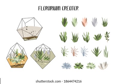 Florarium creator, glass vase. Succulent plants and cactuses in geometric glass pot. Garden in bottle, diy geometric terrarium, mini ecosystem. Vector flat cartoon illustration