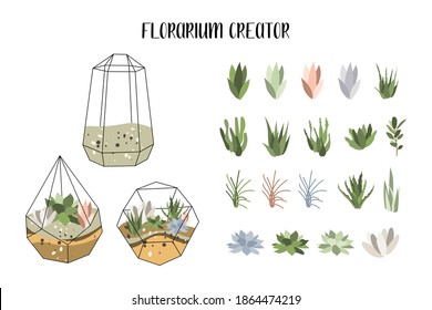 Florarium creator, glass vase. Succulent plants and cactuses in geometric glass pot. Garden in bottle, diy geometric terrarium, mini ecosystem. Vector flat cartoon illustration