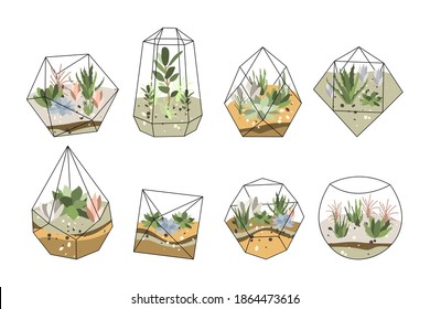 Florarium, glass vase. Succulent plants and cactuses in geometric glass pot. Garden in bottle, diy geometric terrarium, mini ecosystem. Vector flat cartoon illustration