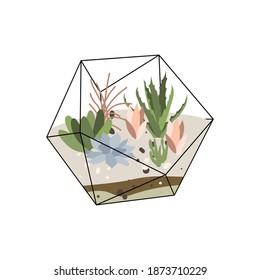 Florarium, glass vase. Succulent plants and cactuses in geometric glass pot. Garden in bottle, diy geometric terrarium, mini ecosystem. Vector flat cartoon illustration