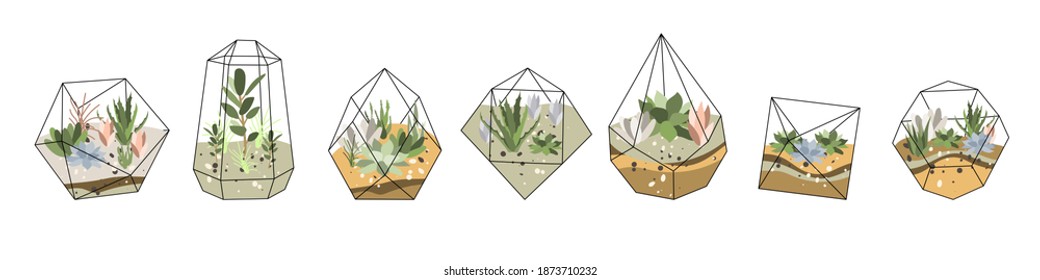 Florarium, glass vase. Succulent plants and cactuses in geometric glass pot. Garden in bottle, diy geometric terrarium, mini ecosystem. Vector flat cartoon illustration