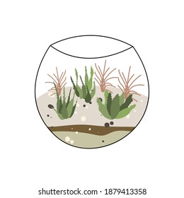 Florarium, glass vase. Succulent plants and cactuses in geometric glass pot. Garden in bottle, diy geometric terrarium, mini ecosystem. Vector flat cartoon illustration