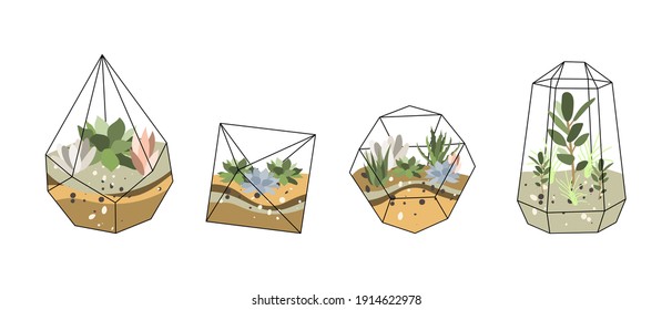 Florarium, glass vase. Succulent plants and cactuses in geometric glass pot. Garden in bottle, diy geometric terrarium, mini ecosystem. Vector flat cartoon illustration