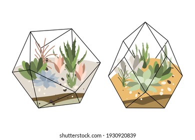 Florarium, glass vase. Succulent plants and cactuses in geometric glass pot. Garden in bottle, diy geometric terrarium, mini ecosystem. Vector flat cartoon illustration