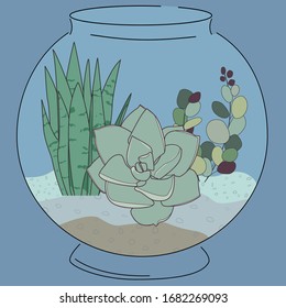 Florarium with succulents. Flowers in the aquarium. Succulents  in the interior.