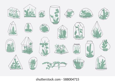 Florarium with succulents vector illustrations set.