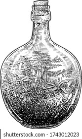 Florarium, terrarium illustration, drawing, engraving, ink, line art, vector