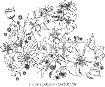 flore drawing sketch vector doodle