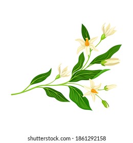 Florent de Branche de fleurs avec Pétales luxuriants et Feuilles vertes Illustration vectorielle