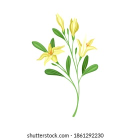 Florescent of Flower Branch with Lush Petals and Green Leaves Vector Illustration