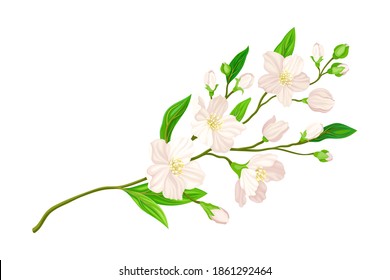 Florent de Branche de fleurs avec Pétales luxuriants et Feuilles vertes Illustration vectorielle